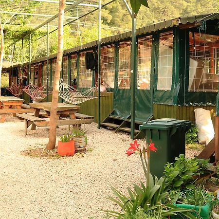 Olympos Zeytin Bed & Breakfast Dış mekan fotoğraf