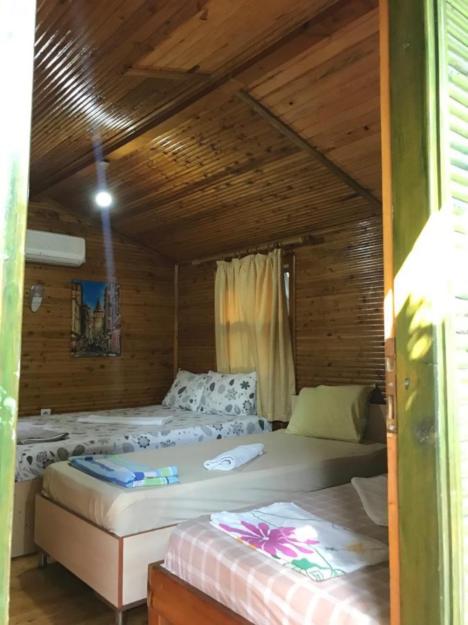 Olympos Zeytin Bed & Breakfast Dış mekan fotoğraf