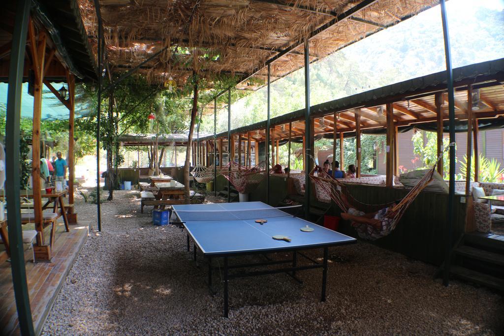 Olympos Zeytin Bed & Breakfast Dış mekan fotoğraf