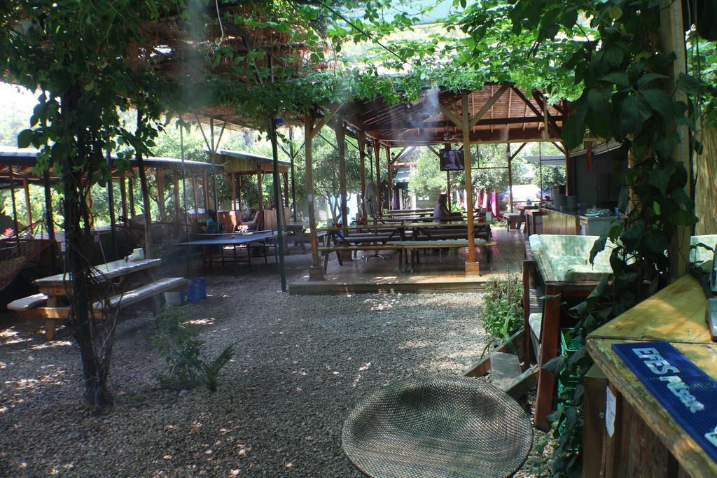 Olympos Zeytin Bed & Breakfast Dış mekan fotoğraf
