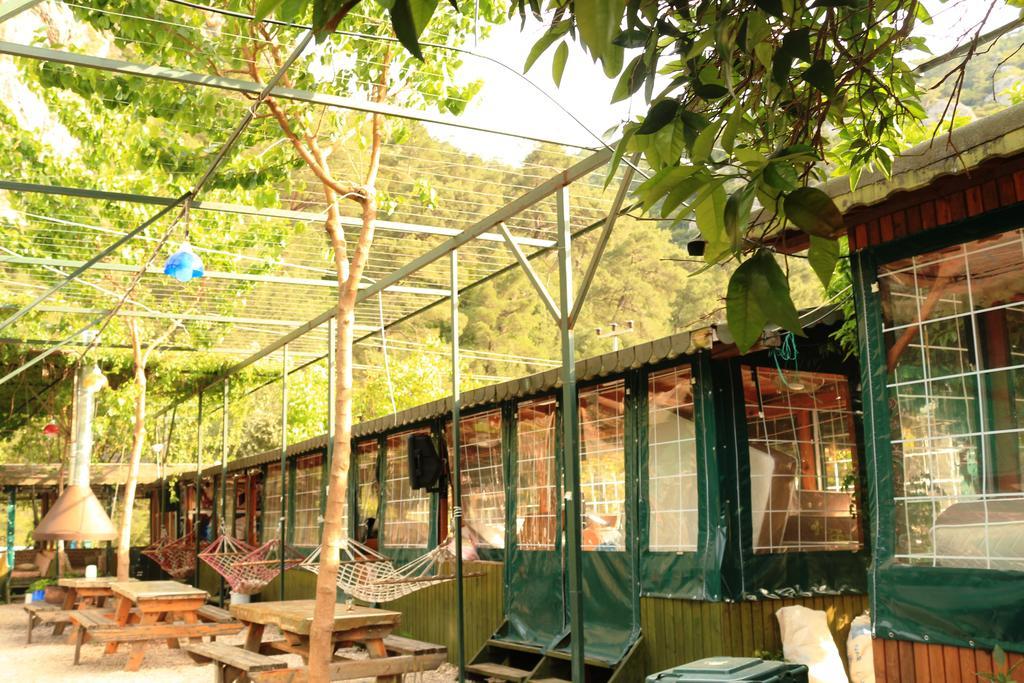 Olympos Zeytin Bed & Breakfast Dış mekan fotoğraf