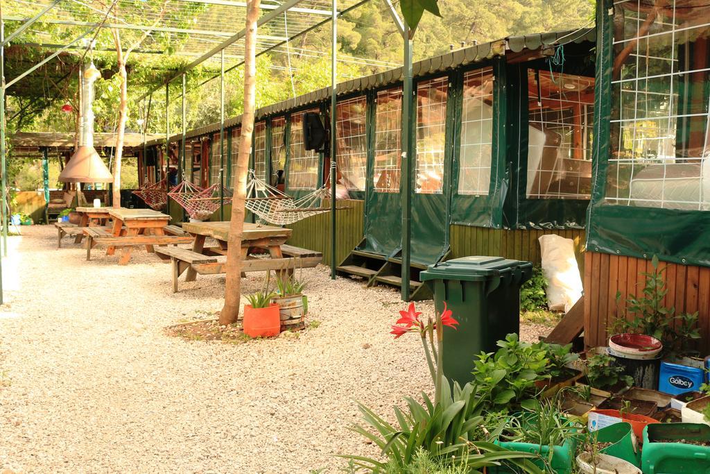 Olympos Zeytin Bed & Breakfast Dış mekan fotoğraf