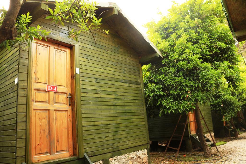 Olympos Zeytin Bed & Breakfast Dış mekan fotoğraf