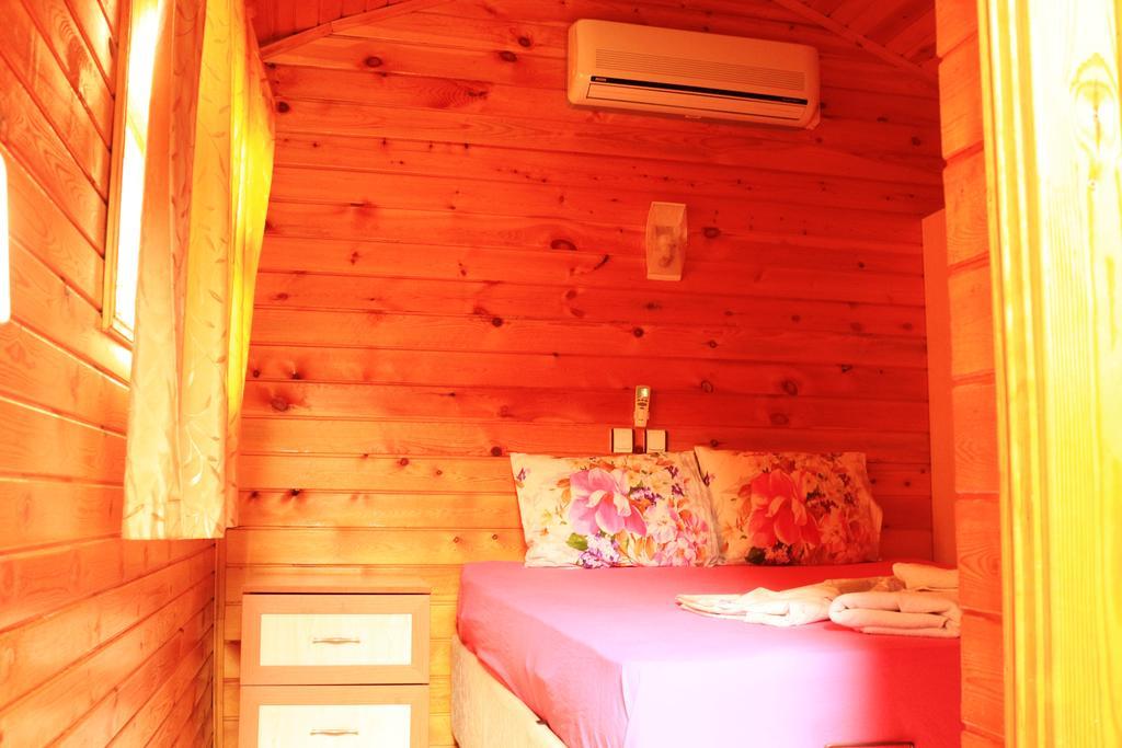 Olympos Zeytin Bed & Breakfast Dış mekan fotoğraf