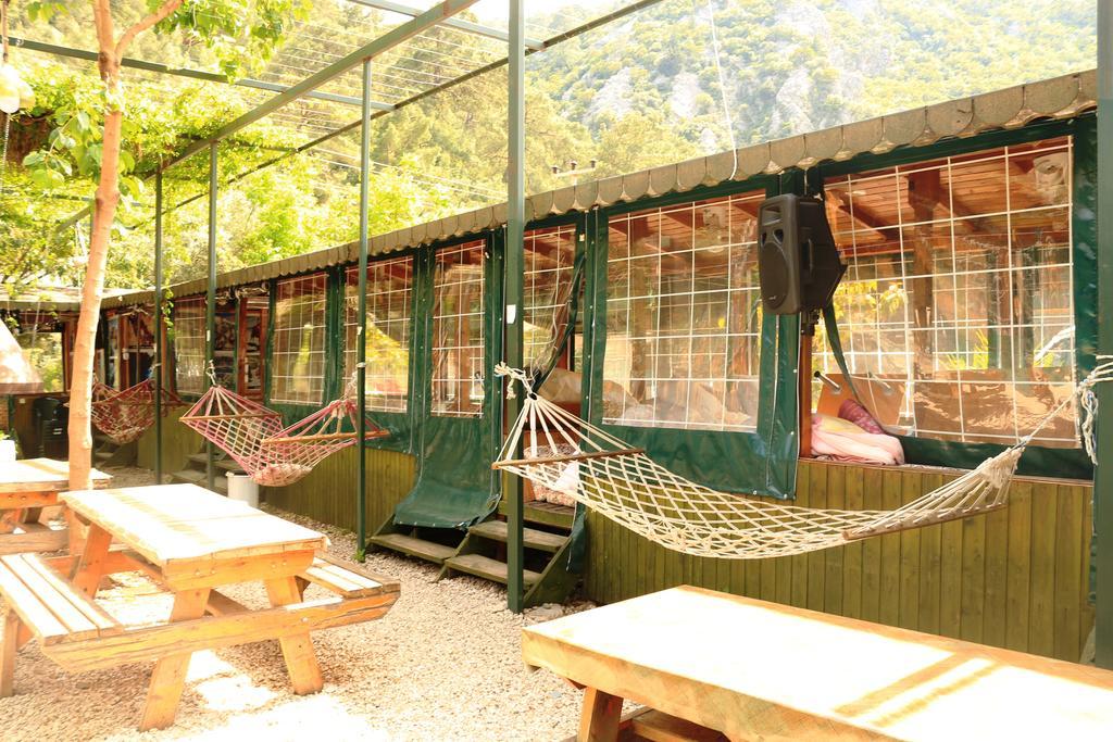 Olympos Zeytin Bed & Breakfast Dış mekan fotoğraf