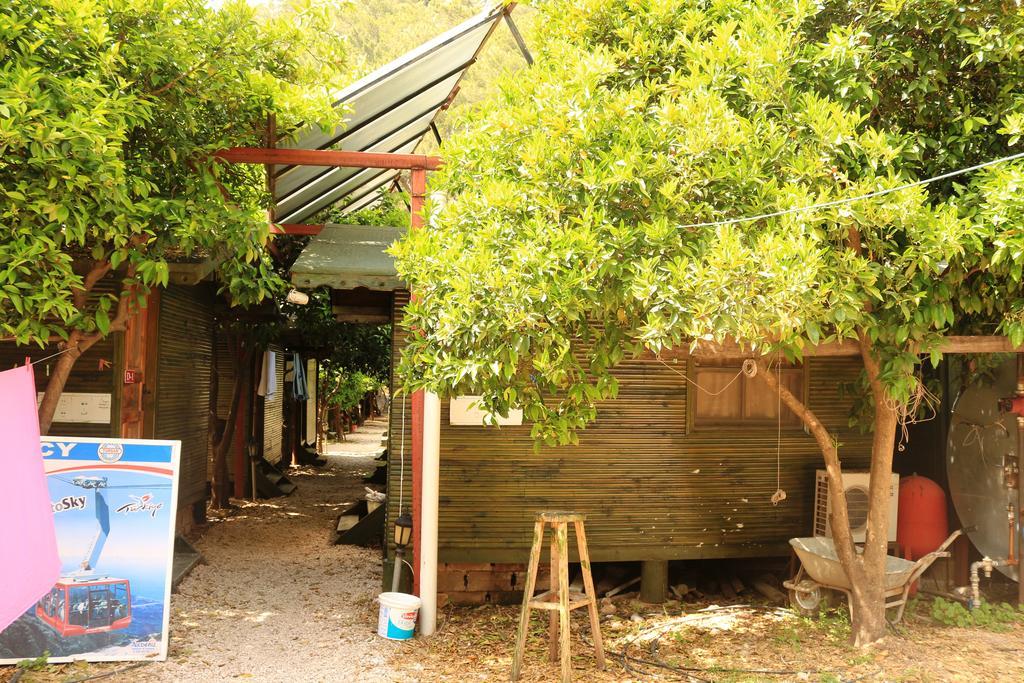Olympos Zeytin Bed & Breakfast Dış mekan fotoğraf