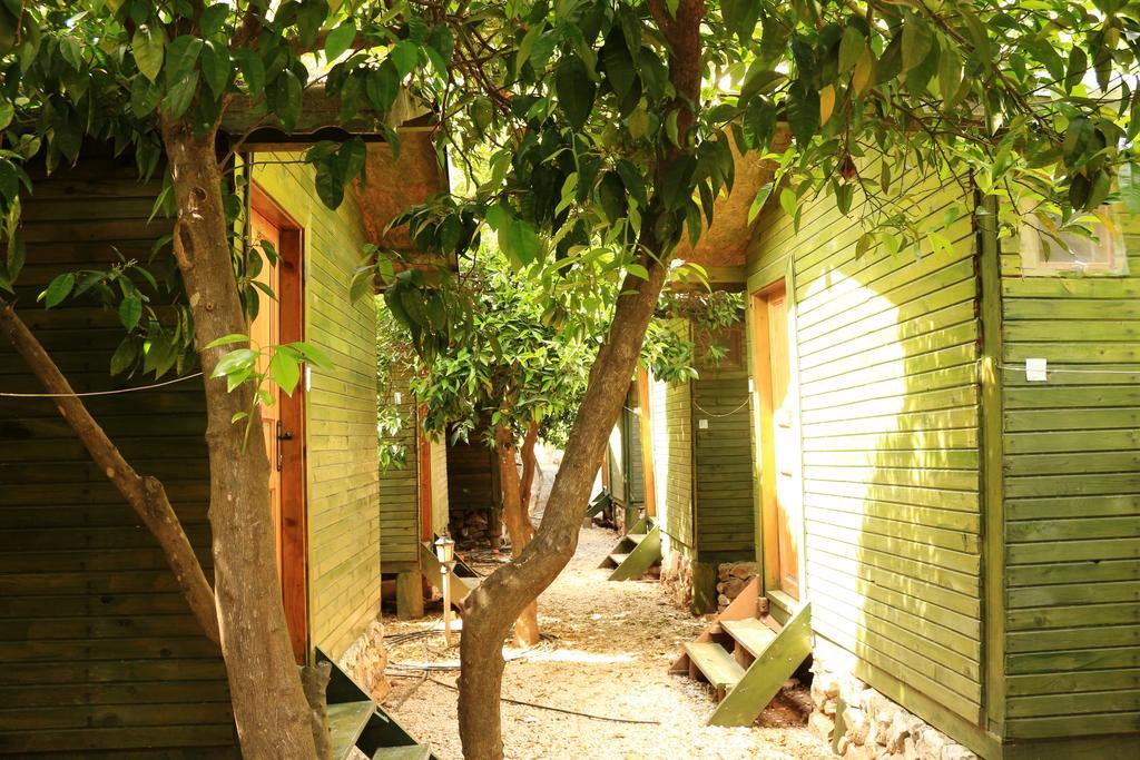 Olympos Zeytin Bed & Breakfast Dış mekan fotoğraf